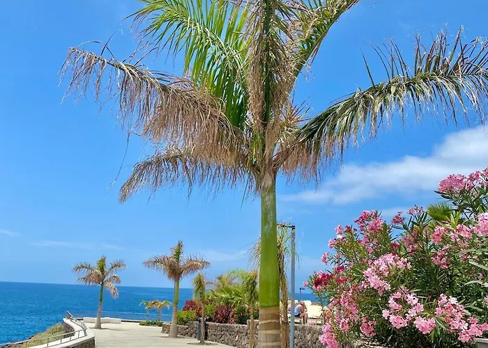 Apartman Deluxe - Oceanfront, Heated Pool