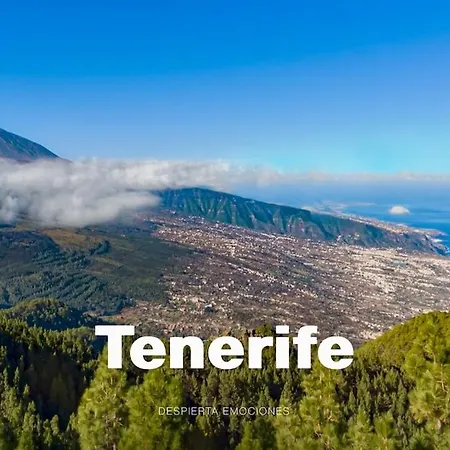 Deluxe - Oceanfront, Heated Pool *