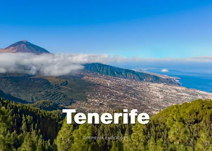 Deluxe - Oceanfront, Heated Pool *