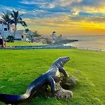 Deluxe - Oceanfront, Heated Pool 阿德耶