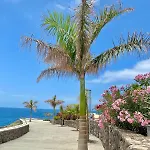 公寓 Deluxe - Oceanfront, Heated Pool